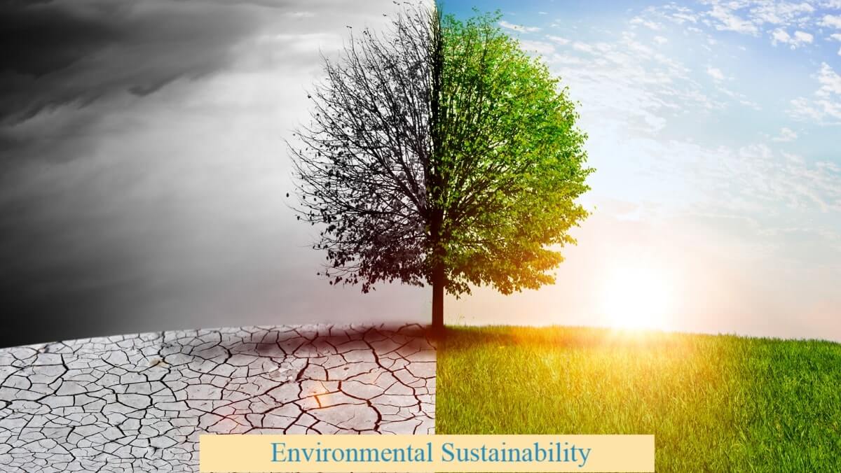 Sustainable Living: Simple Changes for Environmental Impact